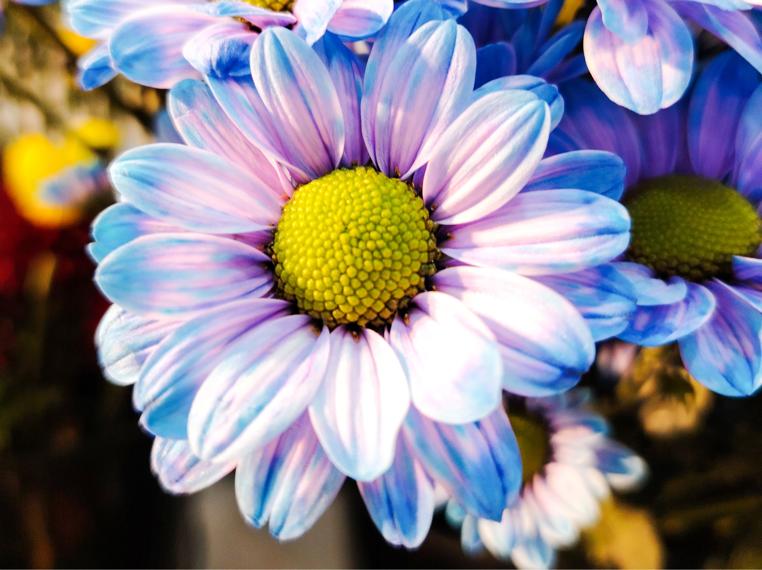 Supermacro de 4cm